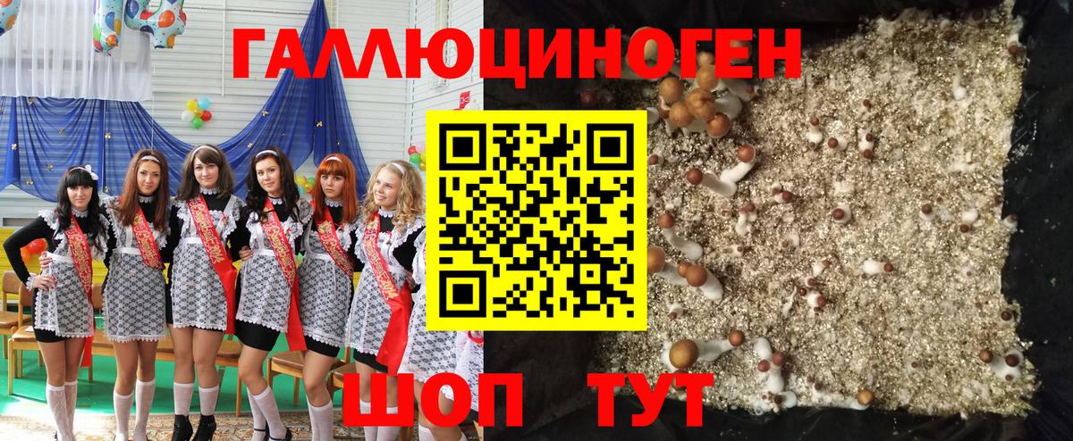 Псилоцибиновые грибы Magic Shrooms Волгодонск